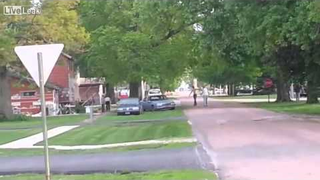 Tree Vs. Morons: Insane Losers Try Uprooting Massive Tree With Old Car